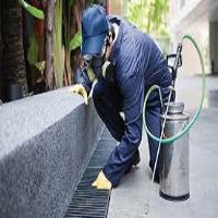 Marks Pest Control Geelong image 1